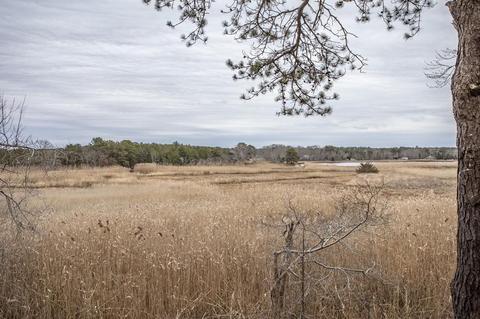 2 Mallard Rd, Wareham, MA 02571 photo 7
