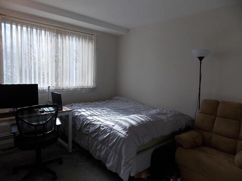 133 Beaconsfield Rd #16, Brookline, MA 02445 photo 5