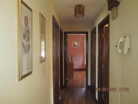49 Willwood St, Chicopee, MA 01013 photo 9