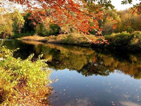 150 South St, Needham, MA 02492 photo 27