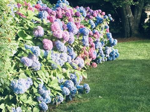 204 Glenneagle Dr, Mashpee, MA 02649 photo 4