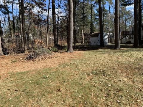 48 Mill St, Franklin, MA 02038 photo 4