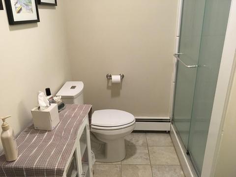 3 Lantern Ln, Mansfield, MA 02048 photo 13