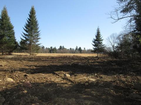 331 Richardson Rd, Dracut, MA 01826 photo 5