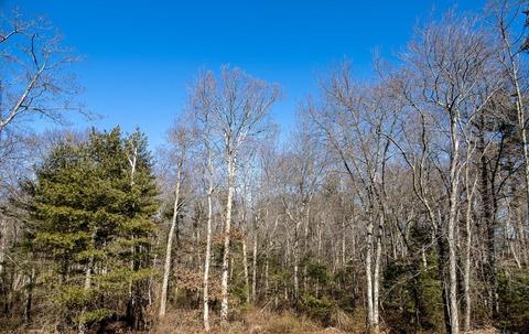 98 Everett Dr, Raynham, MA 02767 photo 26