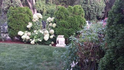 8 Myrtle Sq, Gloucester, MA 01930 photo 13