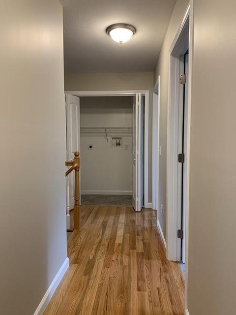 18 Walsh St, Springfield, MA 01109 photo 14