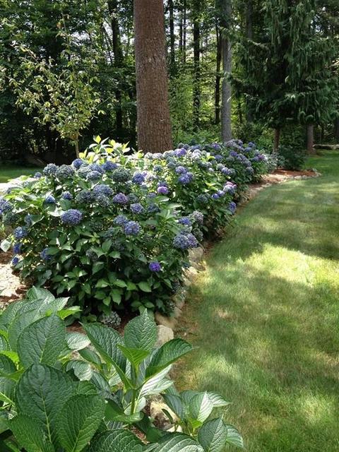 108 Cedar St, Walpole, MA 02081 photo 33