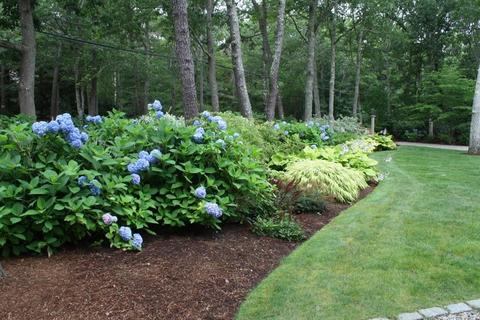 59 Paddock Way, Mashpee, MA 02649 photo 30