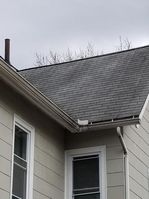 53 Mcknight St, Springfield, MA 01109 photo 33