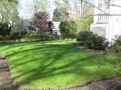 39 Denton Rd, Wellesley, MA 02482 photo 21