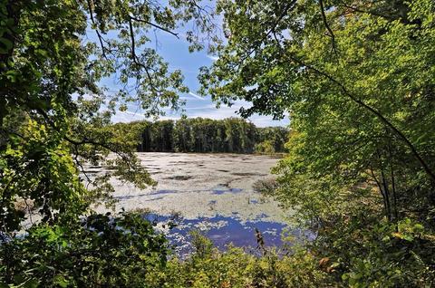150 Ash St, Spencer, MA 01562 photo 39