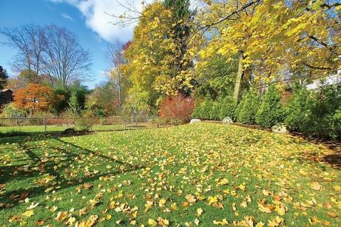 107 Clark Rd, Brookline, MA 02445 photo 19