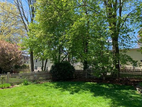3 Hazelton Ave, Needham, MA 02492 photo 38