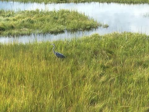 72 Island Path, Hampton, NH 03842 photo 2