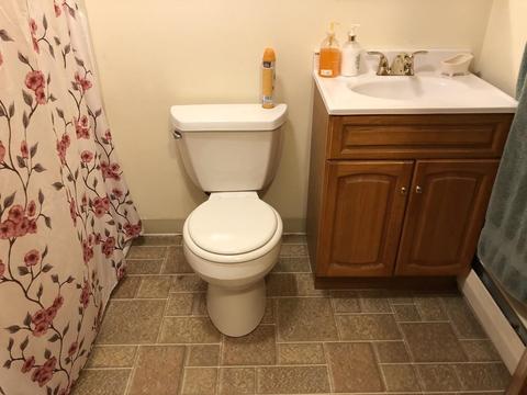 180 Mildred Ave, Springfield, MA 01104 photo 8
