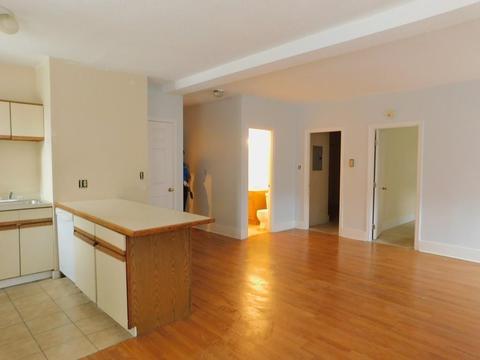 140 Chestnut St #519, Springfield, MA 01103 photo 11