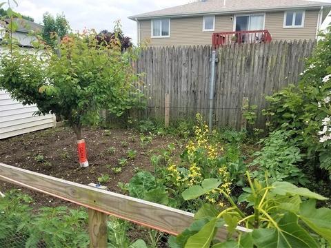 36 Caleb, Fall River, MA 02721 photo 30