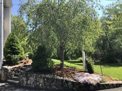 3 Stephen Way, Franklin, MA 02038 photo 30