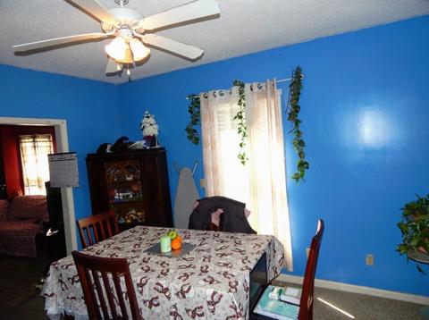 21 Burr St, Springfield, MA 01109 photo 6