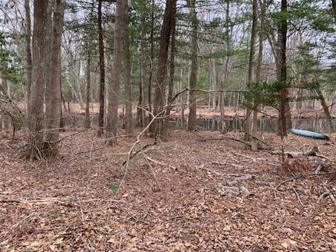 18 Nash Rd, Acton, MA 01720 photo 18