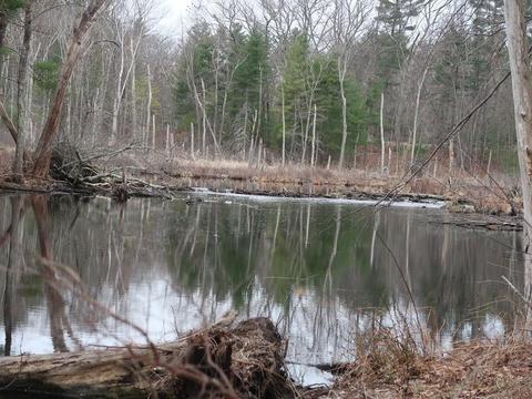 18 Nash Rd, Acton, MA 01720 photo 19