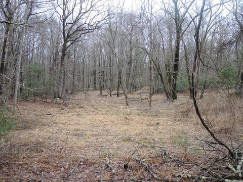 86 Hemlock St, Douglas, MA 01516 photo 1