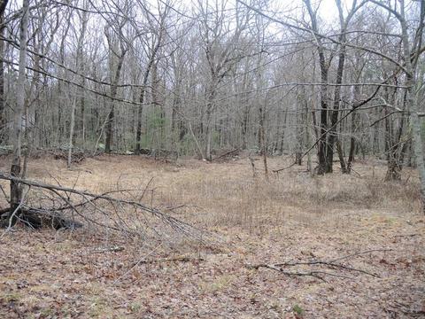 86 Hemlock St, Douglas, MA 01516 photo 3