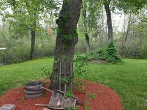 71 Bernard, Springfield, MA 01109 photo 20