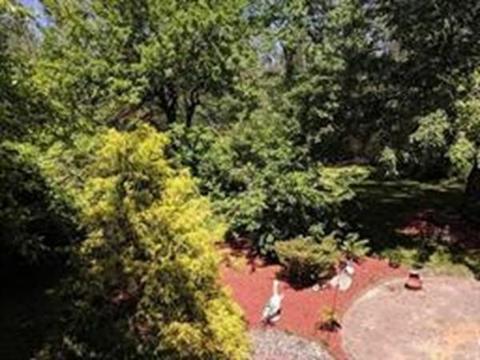 71 Bernard, Springfield, MA 01109 photo 25