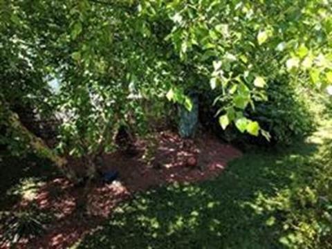 71 Bernard, Springfield, MA 01109 photo 24