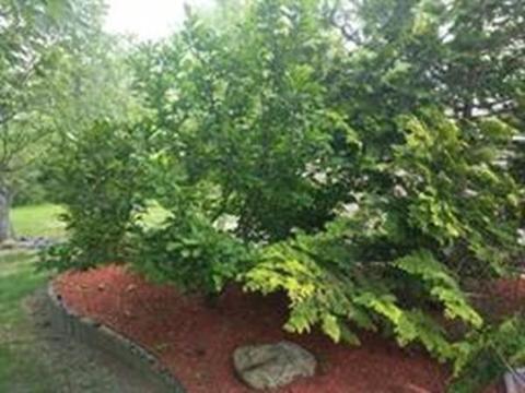71 Bernard, Springfield, MA 01109 photo 19