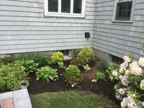 1136 Central Ave, Needham, MA 02492 photo 29