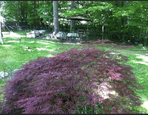 3 Donnas Ln, Hampton, NH 03842 photo 28