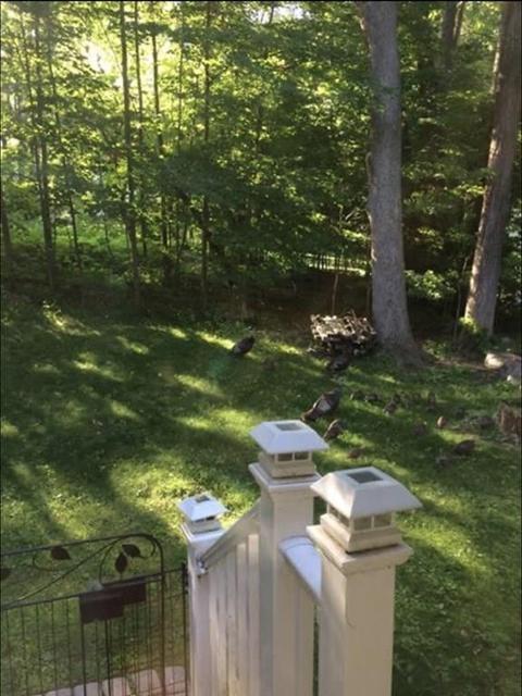 3 Donnas Ln, Hampton, NH 03842 photo 36