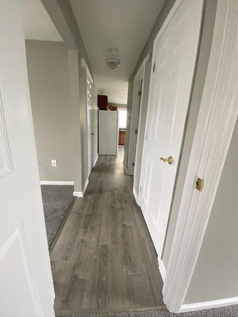 251 Morton St, Springfield, MA 01119 photo 18