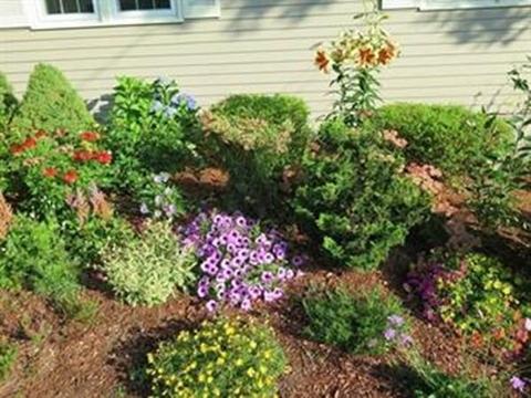 5 Wayside Ln, Acton, MA 01720 photo 27