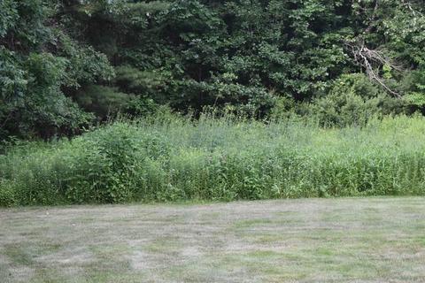 116 South St, Upton, MA 01568 photo 38