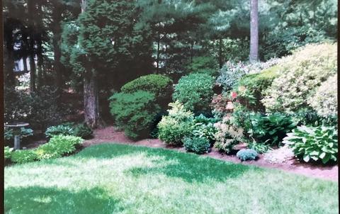 14 Stonehurst Rd, Needham, MA 02492 photo 31