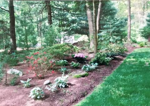 14 Stonehurst Rd, Needham, MA 02492 photo 35