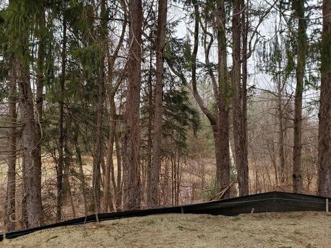 155 Summer, Acton, MA 01720 photo 31