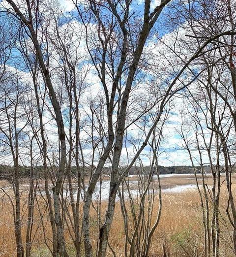 4 Mallard Rd, Wareham, MA 02571 photo 11