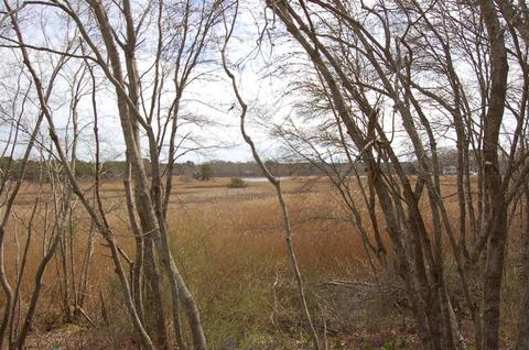 4 Mallard Rd, Wareham, MA 02571 photo 37