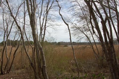4 Mallard Rd, Wareham, MA 02571 photo 36