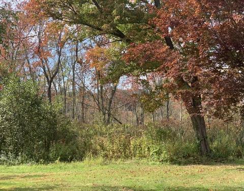 35 Flint Rd, Acton, MA 01720 photo 24