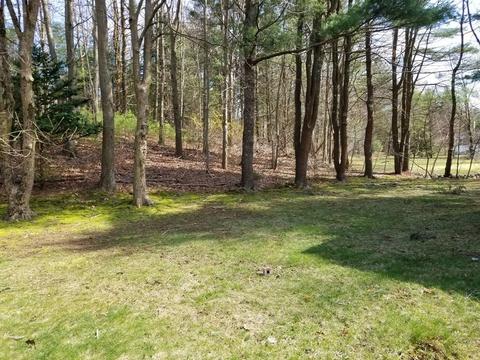 9 Charles Dr, Canton, MA 02021 photo 20