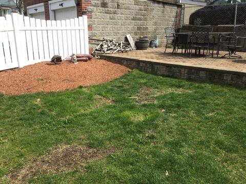 102 Linden St, Everett, MA 02149 photo 20