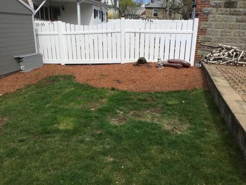 102 Linden St, Everett, MA 02149 photo 22