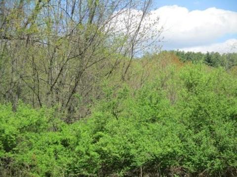 288 Ayer Rd, Harvard, MA 01451 photo 3