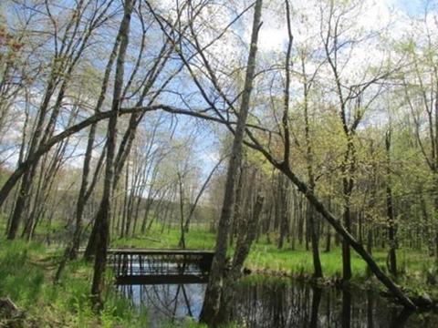 288 Ayer Rd, Harvard, MA 01451 photo 22